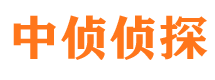 东宝市侦探调查公司